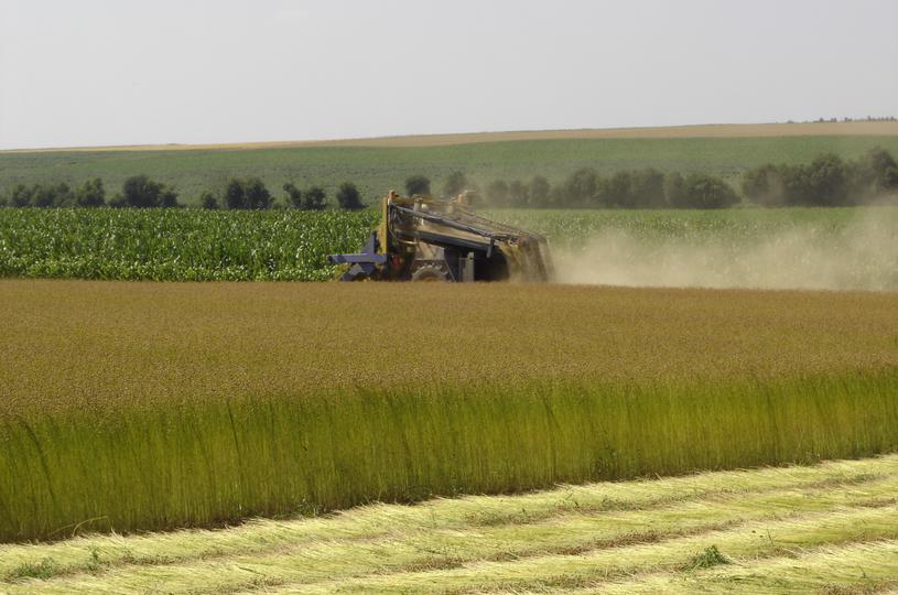 Machinaal oogsten van vlas bij Wavalin
